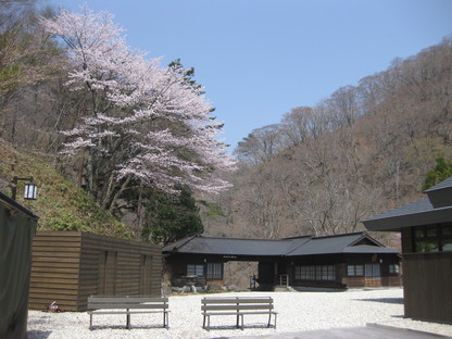 綺麗です。新緑＆山桜！_c0213830_19411992.jpg