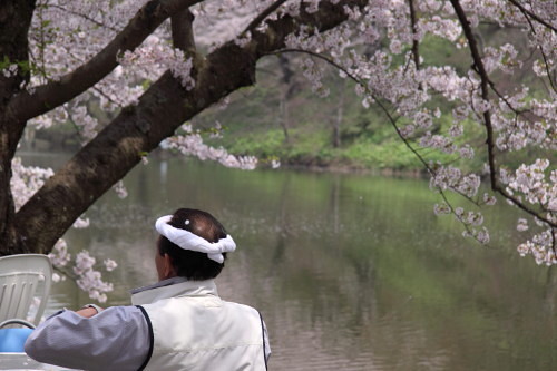 弘前城・桜舞い散る中で_d0038630_20104771.jpg