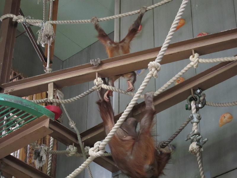 やっぱり楽しい、旭山動物園　――雪解けを待つ北海道[3]_e0186631_05212.jpg