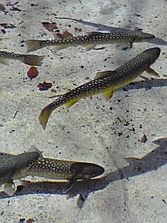 b0152433_925737.jpg