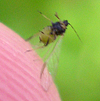 f0108133_23271775.jpg
