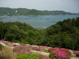c0216434_16432911.jpg