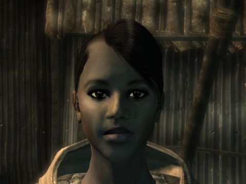 Fo3プレイ日記 Rad15 いざリベットシティへ Monochrome 白と黒の世界 Fo3プレイ日記 Rad15 いざリベットシティへ Monochrome 白と黒の世界
