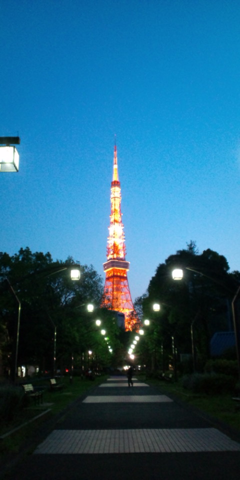 f0137535_1125520.jpg