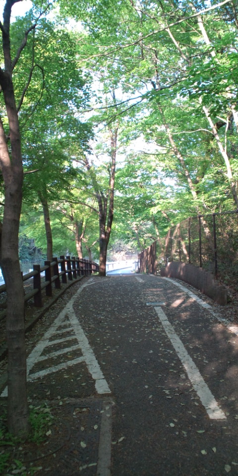 f0137535_112559.jpg