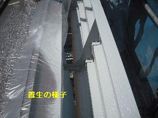 塗装工事8日目_f0031037_21223768.jpg