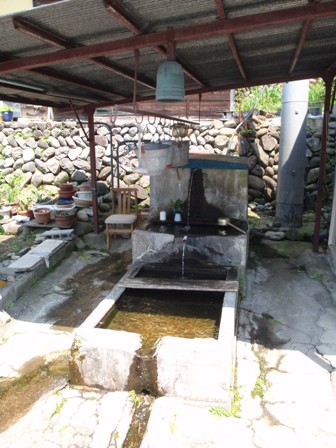 b0080342_12373978.jpg