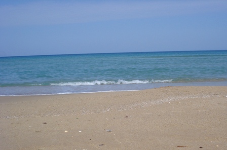 a0166650_21262454.jpg