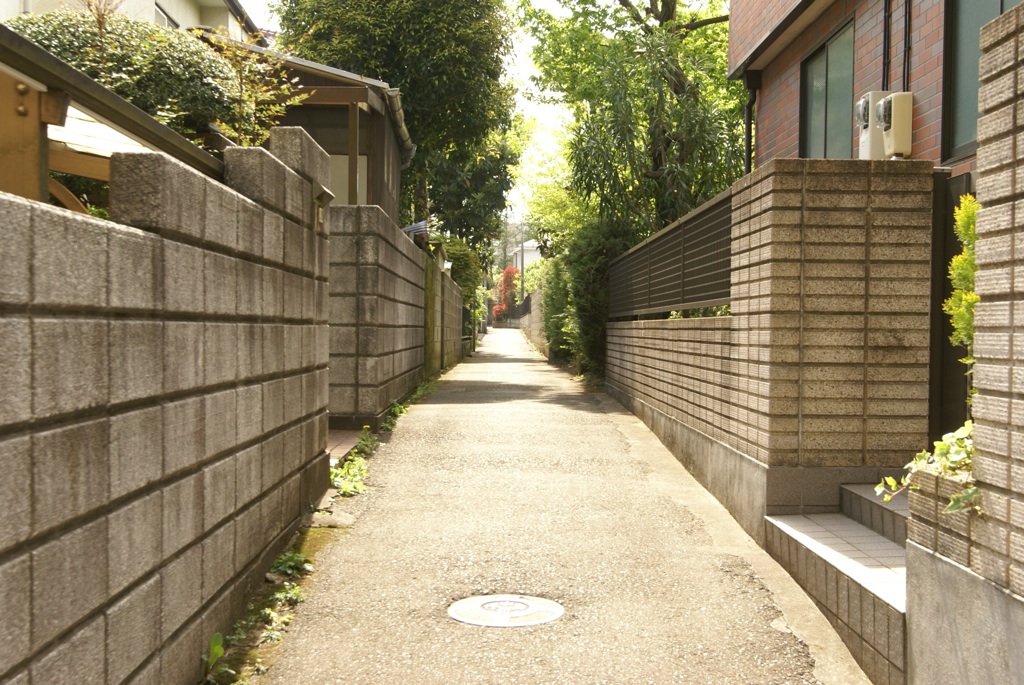 d0101857_335313.jpg