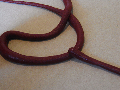 f0147759_1141414.jpg