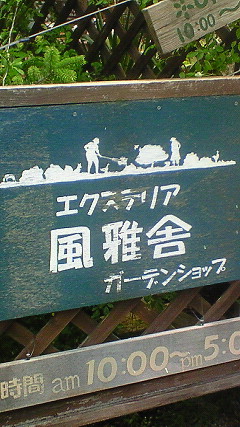 f0191259_20174877.jpg