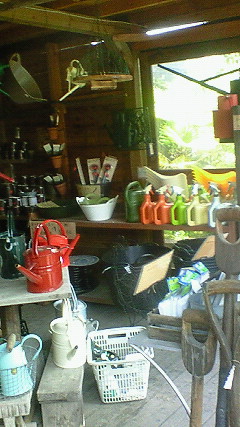 f0191259_20215320.jpg