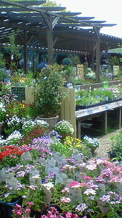 f0191259_2023395.jpg