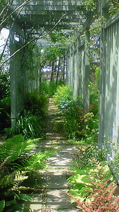 f0191259_20242379.jpg