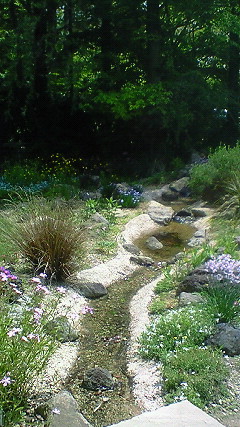 f0191259_20243798.jpg