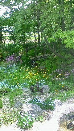 f0191259_20245589.jpg