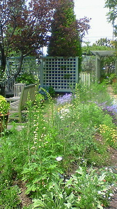 f0191259_20251919.jpg