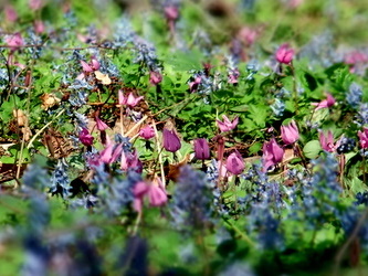 b0165760_19314960.jpg