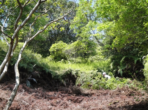 c0108460_20244048.jpg