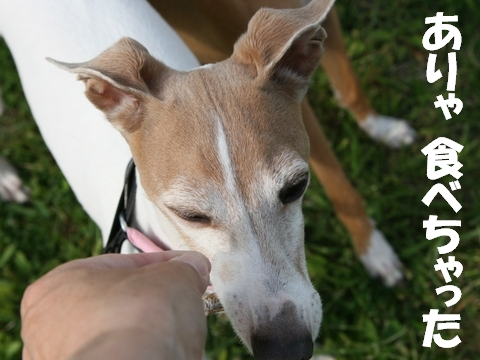 f0158862_21131370.jpg