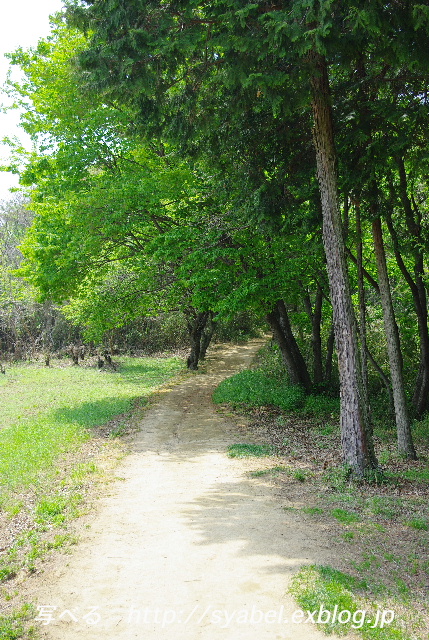 c0153764_358246.jpg