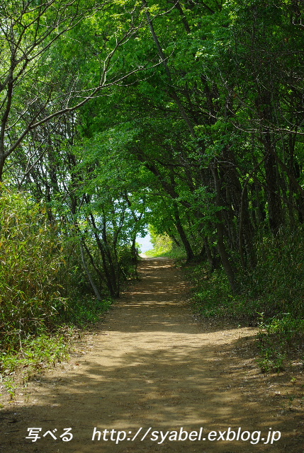 c0153764_358335.jpg