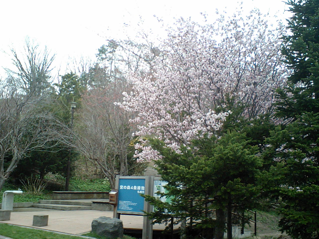 d0098665_1905812.jpg