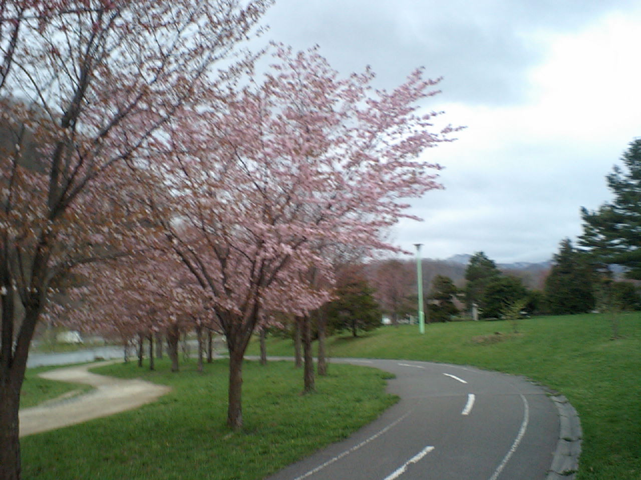 d0098665_1925325.jpg
