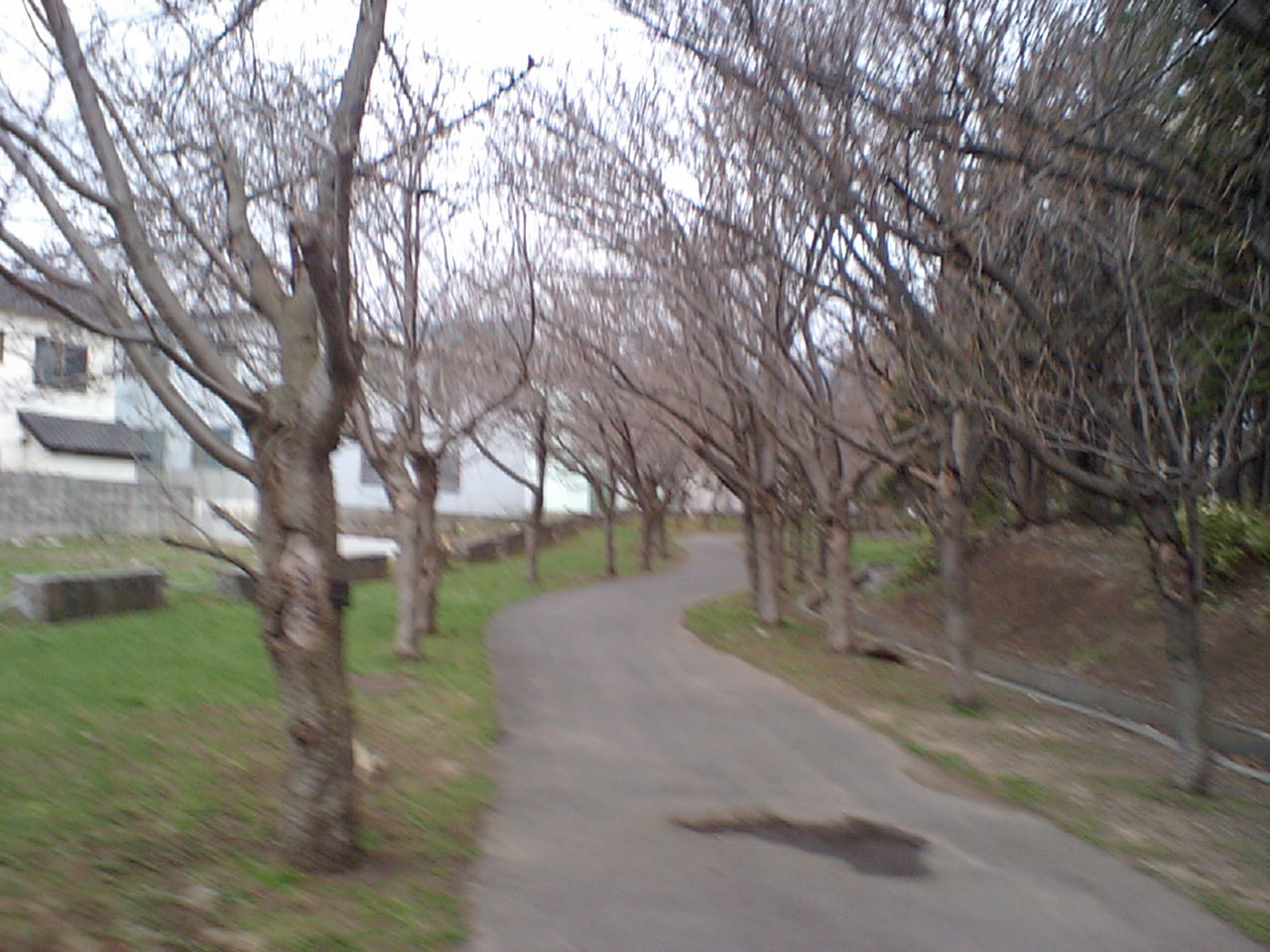 d0098665_1934155.jpg