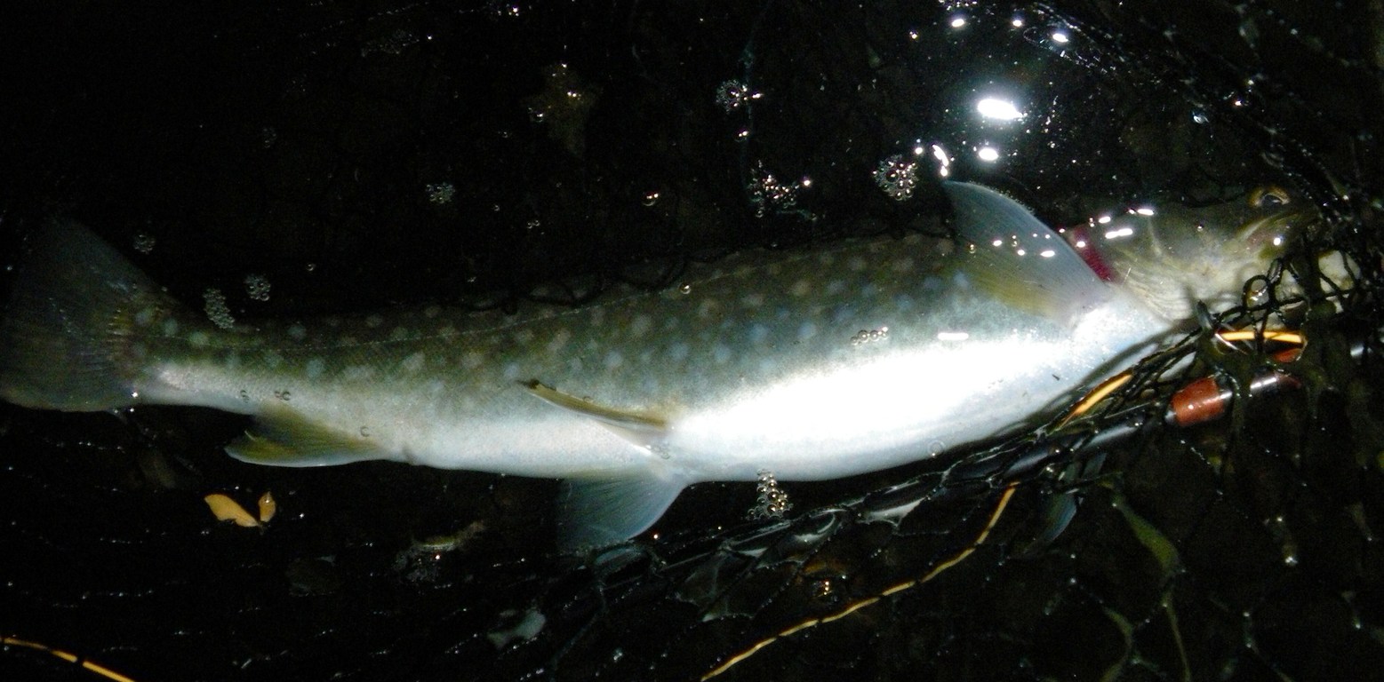 f0199565_018786.jpg