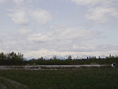 a0050669_1435770.jpg