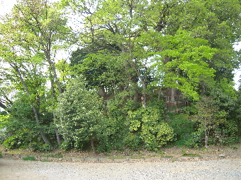 小旅行。_e0033570_8581843.jpg