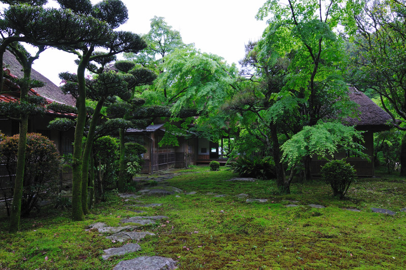 f0150672_19591331.jpg