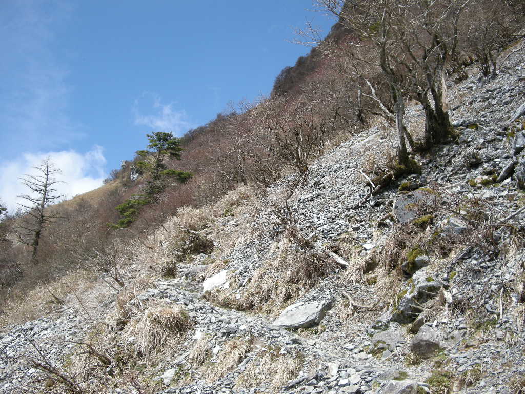 b0185573_20121549.jpg