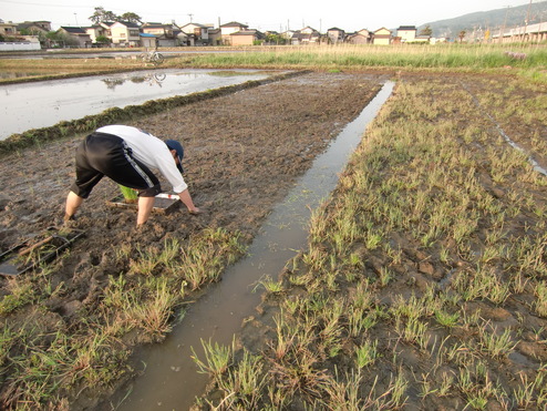 田植え初日・・・助っ人やっちゃん現る！_f0225473_2259266.jpg