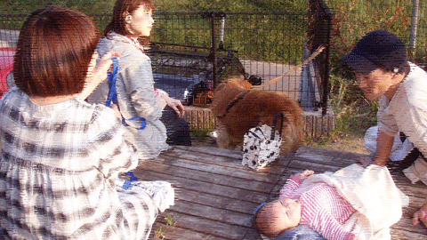 f0161874_0473351.gif