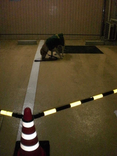 f0052277_0204083.jpg