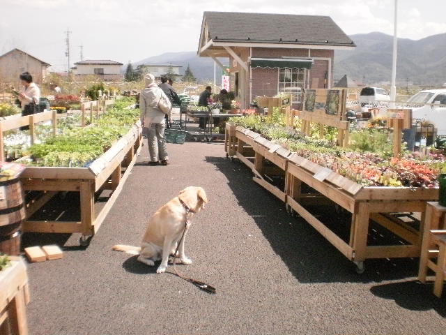 f0052277_0225459.jpg