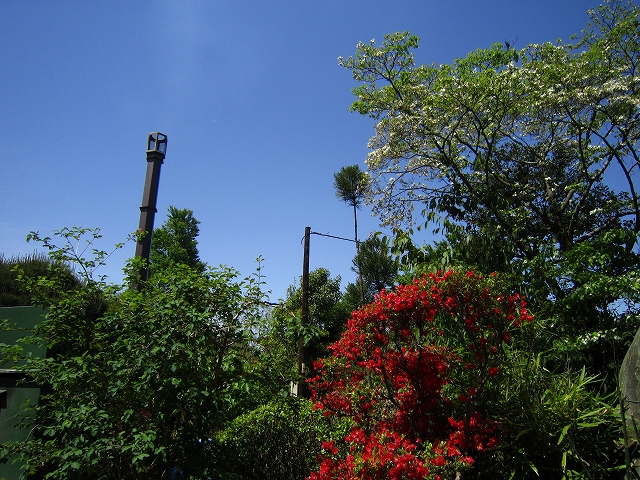d0078178_17115029.jpg
