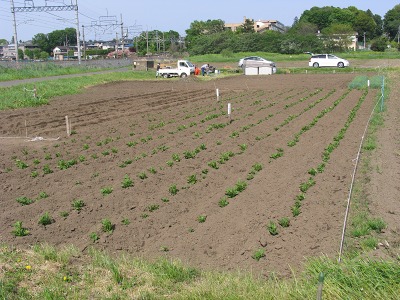 c0145581_14473324.jpg