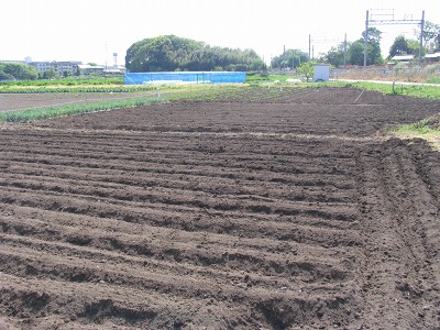 c0145581_14514659.jpg