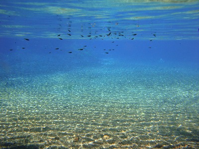 e0150782_2425563.jpg