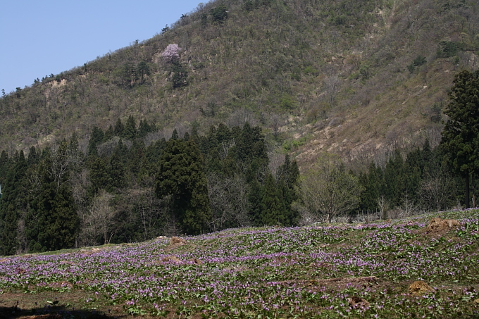 e0165983_1243621.jpg