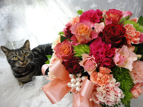 発送したアレンジメント画像は明日か明後日にアップします 花猫庵