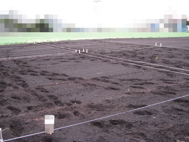 a0008185_923472.jpg