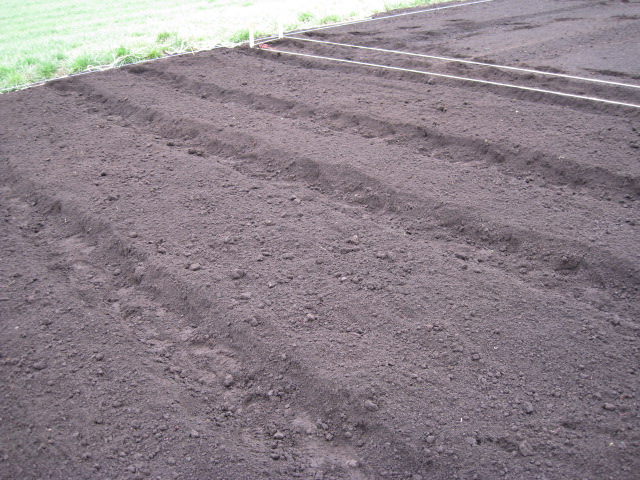 a0008185_9264040.jpg