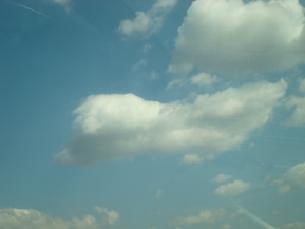 e0096485_92757.jpg