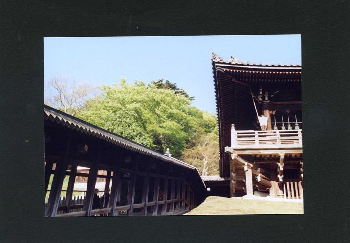 leica 3f  in Nara (フィルム編) 　2010.4.24_c0046587_22105613.jpg