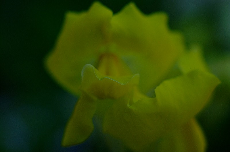 c0160387_7534555.jpg