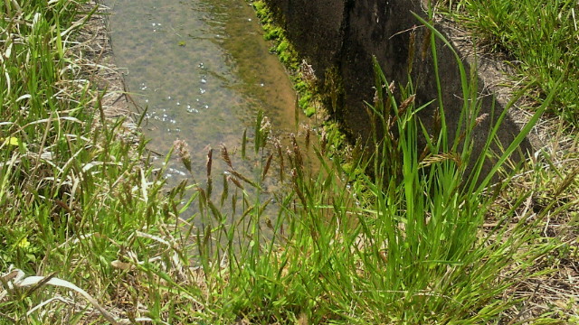 e0175288_9573822.jpg